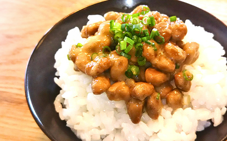 【定期便全6回】最上納豆セット 山形県 新庄市 F3S-2608