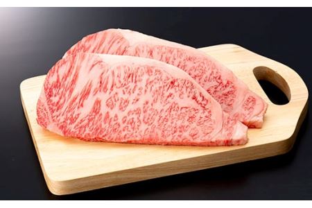 産地直送 4等級以上 山形牛 ステーキ セット 700g（サーロイン200g×2枚、もも150g×2枚） にく 肉 お肉 牛肉 山形県 新庄市 F3S-0597