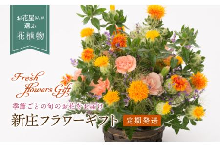 【全6回 定期便】 2ケ月に1回お届け 新庄フラワーギフト F3S-0888