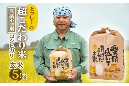 よっしーの超こだわり米(農薬不使用) コシヒカリ（玄米）5kg 米 お米 おこめ 山形県 新庄市 F3S-0998