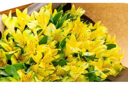 アルストロメリア（花束） 10本程度 山形県 新庄市 F3S-0321