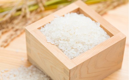 米食味鑑定士厳選新庄産米食べ比べ3種 米 お米 おこめ 山形県 新庄市 F3S-0342