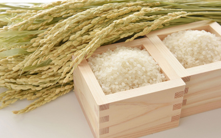 《先行予約》山形県産米 はえぬき 2kg 精米 米 お米 おこめ 山形県 新庄市 F3S-1709