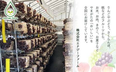 《先行予約》山形県産米 ひとめぼれ 10kg 精米 米 お米 おこめ 山形県 新庄市 F3S-1708