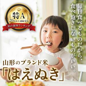 令和6年産 山形県産【はえぬき】無洗米 精米 10kg（5kg×2袋） 米 お米 おこめ 山形県 新庄市 F3S-1777