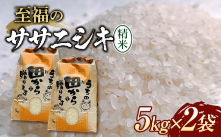 予約限定 至福のササニシキ(精米)5kg×2袋 F3S-1326