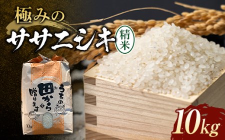 極みのササニシキ(精米)10kg×1袋 F3S-1328
