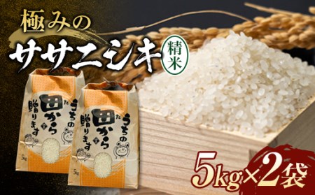 新米令和4年 極みのササニシキ(精米)10kg(5kg×2袋) 米 お米 おこめ ふるさと納税 山形県 新庄市 F3S-1333