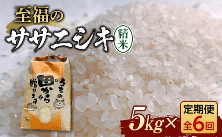 新米令和4年 『定期便』至福のササニシキ(精米)5kg全6回 米 お米 おこめ ふるさと納税 山形県 新庄市 F3S-1436