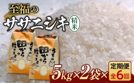 新米令和4年 『定期便』至福のササニシキ(精米)5kg×2袋 全6回 米 お米 おこめ ふるさと納税 山形県 新庄市 F3S-1335