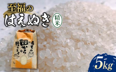 新米令和4年 至福のはえぬき(精米)5kg 米 お米 おこめ 山形県 新庄市 F3S-1342