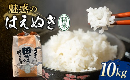 新米令和4年 魅惑のはえぬき(精米)10kg×1袋 米 お米 おこめ 山形県 新庄市 F3S-1344