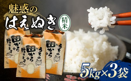 新米令和4年 魅惑のはえぬき(精米)15kg(5kg×3袋) 米 お米 おこめ 山形県 新庄市 F3S-1345
