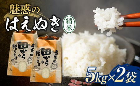 新米令和4年 魅惑のはえぬき(精米)10kg(5kg×2袋) 米 お米 おこめ 山形県 新庄市 F3S-1349