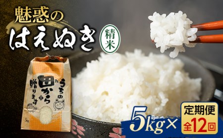 新米令和4年 『定期便』魅惑のはえぬき(精米)5kg 全12回 米 お米 おこめ 山形県 新庄市 F3S-1350