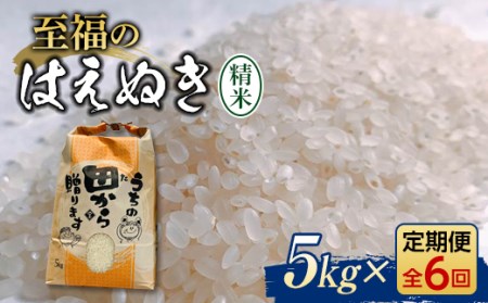 新米令和4年 『定期便』至福のはえぬき(精米)5kg 全6回 米 お米 おこめ 山形県 新庄市 F3S-1353