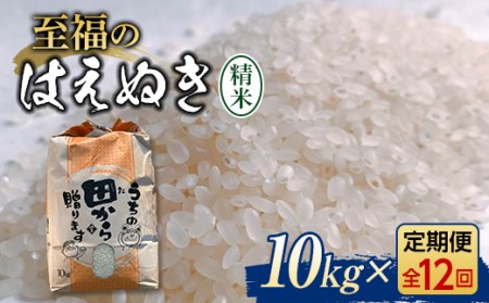新米令和4年 『定期便』至福のはえぬき(精米)10kg 全12回 米 お米 おこめ 山形県 新庄市 F3S-1358