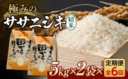 新米令和4年 『定期便』極みのササニシキ(精米)5kg×2 全6回 米 お米 おこめ ふるさと納税 山形県 新庄市 F3S-1337