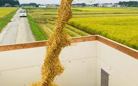 極みのササニシキ（精米） 5kg 米 お米 おこめ 山形県 新庄市 F3S-2431