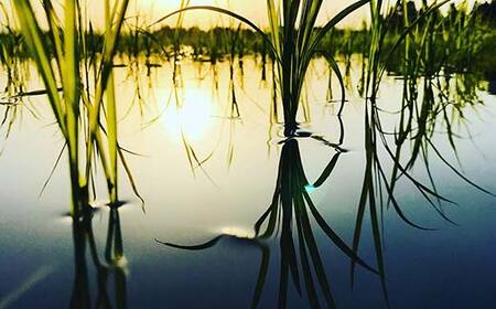 極みのササニシキ（精米） 5kg 米 お米 おこめ 山形県 新庄市 F3S-2431