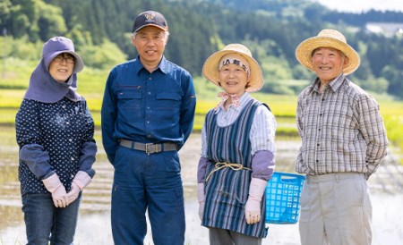 【最上の輝き】はえぬき 玄米 5kg×2袋 米 お米 おこめ 山形県 新庄市 F3S-1651