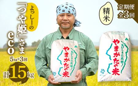 【定期便全3回】令和6年産よっしーの「つや姫」さまeco（精米）5kg×3 米 お米 おこめ 白米 山形県 新庄市 F3S-1624