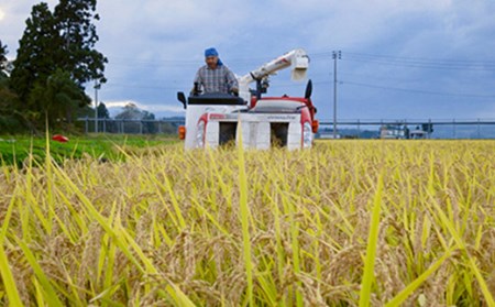 【定期便全3回】令和6年産よっしーの「つや姫」さまeco（精米）5kg×3 米 お米 おこめ 白米 山形県 新庄市 F3S-1624