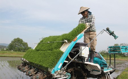 【定期便全3回】令和6年産よっしーの「つや姫」さまeco（精米）5kg×3 米 お米 おこめ 白米 山形県 新庄市 F3S-1624