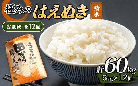 定期便】令和5年産 極みのはえぬき 5kg（精米）全12回 米 お米 おこめ