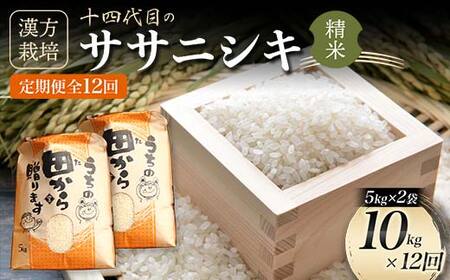 定期便】令和5年産 漢方栽培 低温熟成乾燥 十四代目のササニシキ 5kg×2