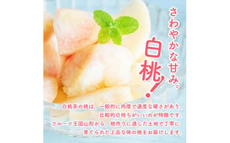 有機肥料栽培 白桃 2kg（5～9玉） 秀品 品種おまかせ 山形産 2025年産 令和7年産 山形県産 【2025年8月下旬頃～9月下旬頃発送予定】　012-B-AF007