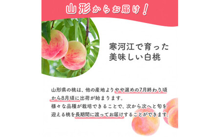 有機肥料栽培 白桃 2kg（5～9玉） 秀品 品種おまかせ 山形産 2025年産 令和7年産 山形県産 【2025年8月下旬頃～9月下旬頃発送予定】　012-B-AF007