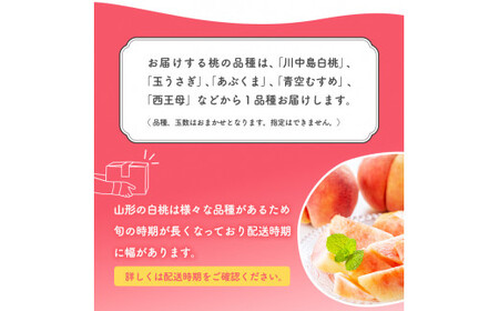 有機肥料栽培 白桃 2kg（5～9玉） 秀品 品種おまかせ 山形産 2025年産 令和7年産 山形県産 【2025年8月下旬頃～9月下旬頃発送予定】　012-B-AF007