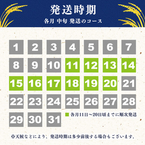 ＜ 2025年10月より毎月3回 ＞【令和7年産 定期便】はえぬき計30kg！お米 定期便（10kg×3回）！清流寒河江川育ち 山形産はえぬき 2025年産　058-C-JA012-2025-10毎