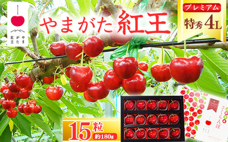 【先行予約】 さくらんぼ 「やまがた紅王 プレミアム」4L 特秀品 15粒（約180g）化粧箱 2026年産 令和8年産 山形県産 【2026年6月中旬頃～下旬頃発送予定】 ※配送不可 沖縄・離島 080-A-SW005