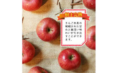 樹上完熟 りんご（ふじりんご） 3kg 秀品  2025年産 令和7年産 山形県産【2025年12月頃発送】　012-B-NG007
