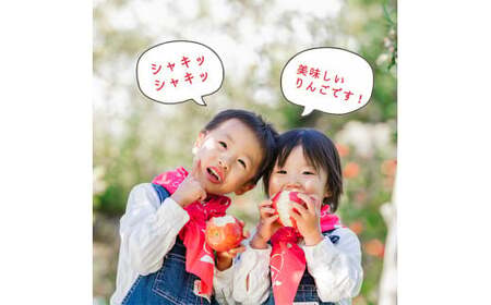 樹上完熟 りんご（ふじりんご） 3kg 秀品  2025年産 令和7年産 山形県産【2025年12月頃発送】　012-B-NG007