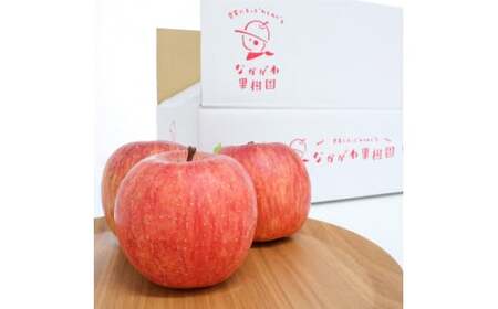 樹上完熟 りんご（ふじりんご） 3kg 秀品  2025年産 令和7年産 山形県産【2025年12月頃発送】　012-B-NG007