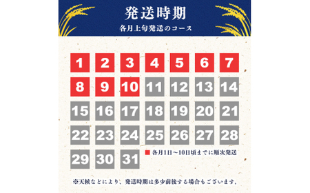 【2025年4月上旬】令和6年産 はえぬき 20kg（5kg×4袋） 山形県産 2024年産 【 精米 白米 東北 山形産 国産 20キロ 5キロ 4袋 食品 お取り寄せ 小分け ご飯 発送時期 配送時期 発送月 配送月 選べる ランキング 入賞歴 銘柄米 ロングセラー ブランド米 寒河江市 】040-C-JA011-2025-4上