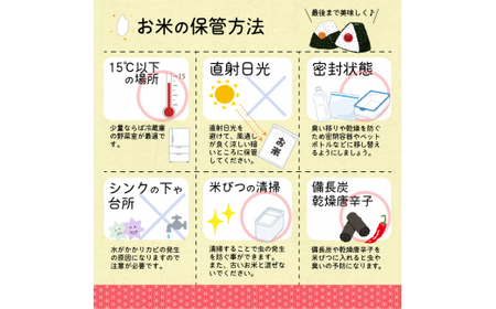 【2025年4月上旬】令和6年産 はえぬき 20kg（5kg×4袋） 山形県産 2024年産 【 精米 白米 東北 山形産 国産 20キロ 5キロ 4袋 食品 お取り寄せ 小分け ご飯 発送時期 配送時期 発送月 配送月 選べる ランキング 入賞歴 銘柄米 ロングセラー ブランド米 寒河江市 】040-C-JA011-2025-4上