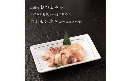 【45営業日以内配送】《 お試しにちょうどいい》焼肉店でも人気の国産牛ホルモンMIXが100g×3パック! 006-D-YL001