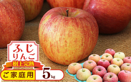 《訳あり》ご家庭用 ふじりんご 5kg 山形県産 2025年産 令和7年産 【2025年12月頃より順次発送予定】(フードロス対応・食品ロス・規格外・SDGs・生産者支援) 010-B-NG009