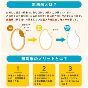 山形県産 ＜無洗米＞ 令和6年産 つや姫 8kg (2kg×4袋 ) 【2024年9月下旬頃より発送予定】　014-C-JF027｜つや姫無洗米つや姫無洗米つや姫無洗米つや姫無洗米つや姫無洗米つや姫無洗米つや姫無洗米つや姫無洗米つや姫無洗米つや姫無洗米つや姫無洗米つや姫無洗米つや姫無洗米｜