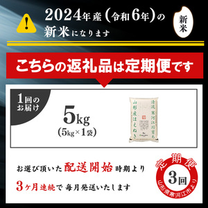 ＜2025年1月下旬開始＞ 【令和6年産 3回定期便】 はえぬき計15kg！お米定期便（5kg×3回）！清流寒河江川育ち 山形産はえぬき 2024年産　029-C-JA021-2025-1下