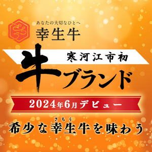 【45営業日以内配送】幸せを運ぶ牛《幸生牛》希少牛 焼肉 （モモ、肩、バラ おまかせ） 500g（500g×1パック） 018-D-YL053
