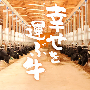 【45営業日以内配送】幸せを運ぶ牛《幸生牛》希少牛 ハンバーグ 150g×4個　008-D-YL056