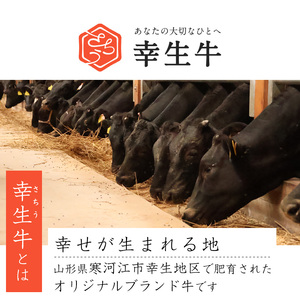 【45営業日以内配送】幸せを運ぶ牛《幸生牛》希少牛 ハンバーグ 150g×4個　008-D-YL056