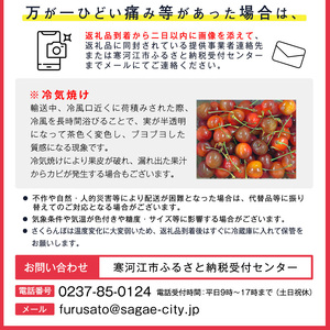 令和8年産 さくらんぼ「 佐藤錦 」500g (250g×2パック) 秀品 Lサイズ以上 2026年産 山形県産 【2026年6月上旬頃～下旬頃発送予定】※配送不可 沖縄・離島　012-A-AF020