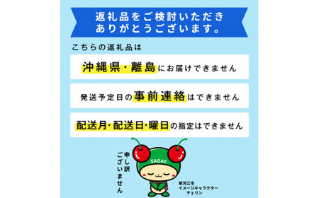 令和7年産 特秀品 さくらんぼ「 紅秀峰 」600g (300g×2パック) L以上 2025年産 山形県産 山形産 【2025年6月中旬頃～7月上旬頃発送予定】　023-A-AF027