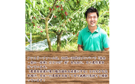 令和7年産 特秀品 さくらんぼ「 紅秀峰 」600g (300g×2パック) L以上 2025年産 山形県産 山形産 【2025年6月中旬頃～7月上旬頃発送予定】　023-A-AF027